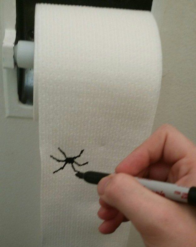 a person holding a marker near a spider on a toilet paper roll with it's eyes closed