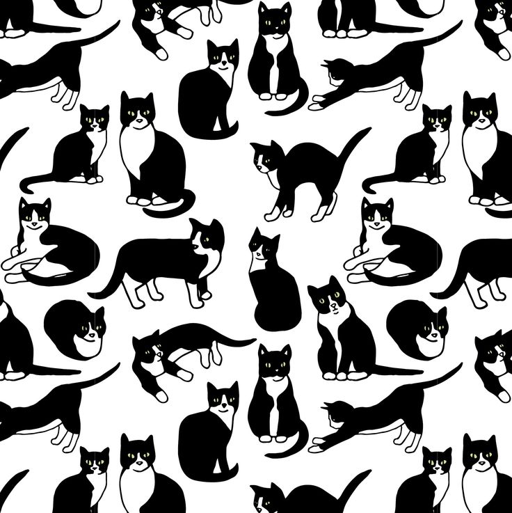 black and white cat silhouettes are shown in this seamless pattern, which includes several different types of cats