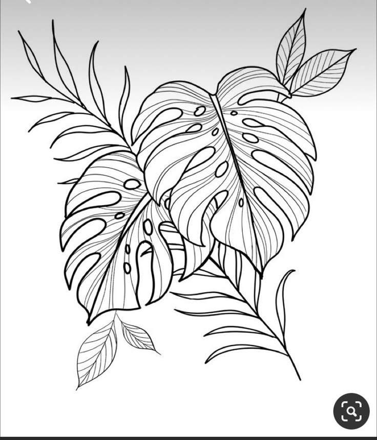 a black and white drawing of leaves