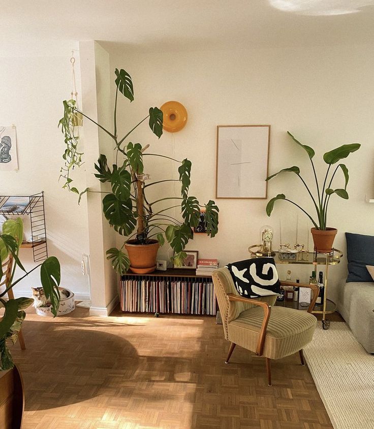 a living room filled with lots of plants next to a couch and coffee table on top of a hard wood floor