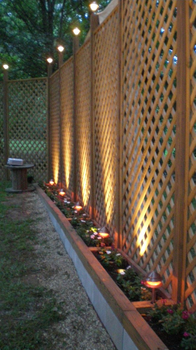 a fence that has lights on it and some plants growing in the ground next to it