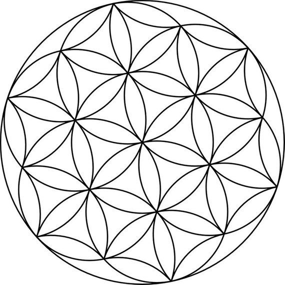 the flower of life is shown in black and white