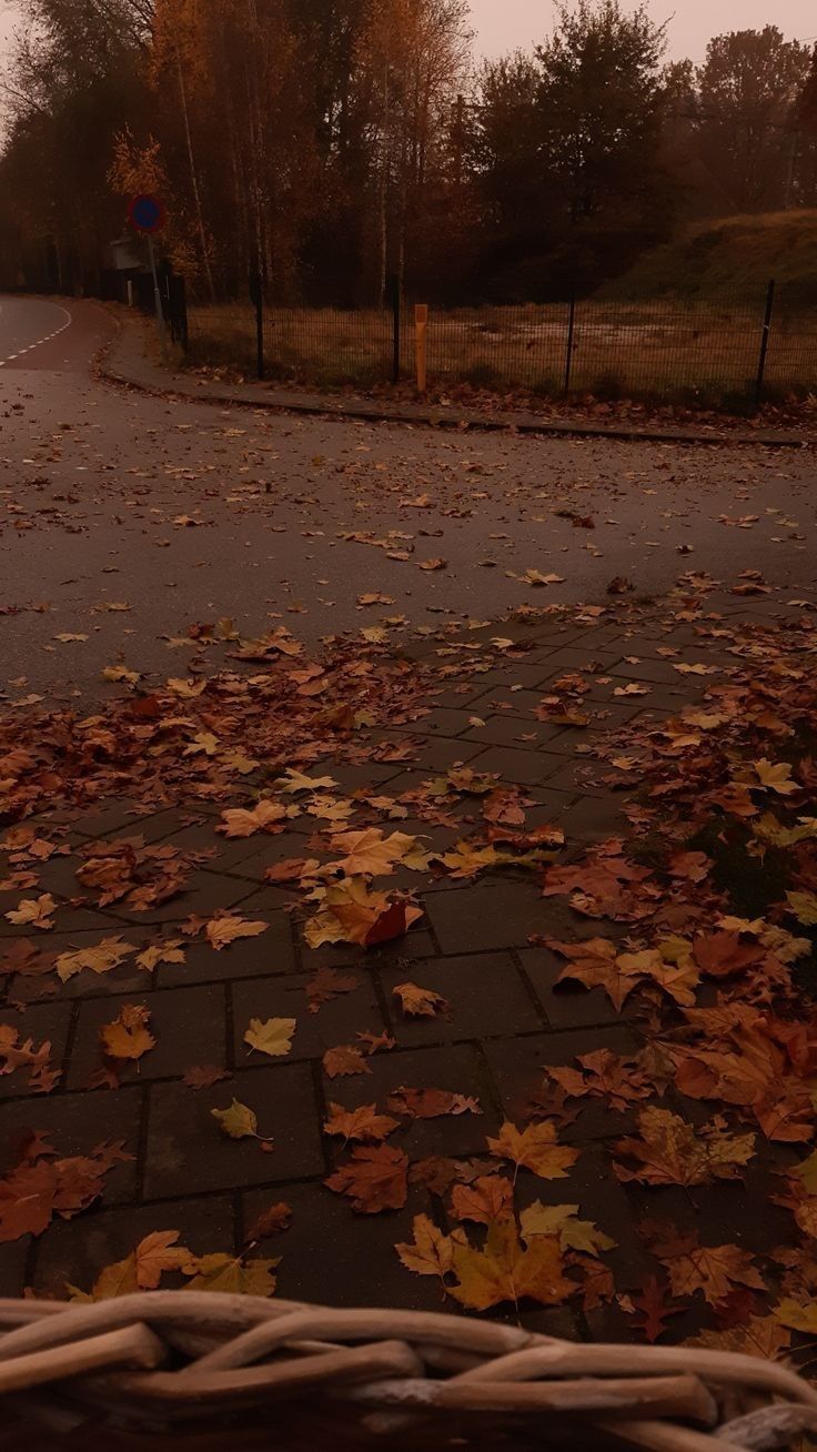 an empty street with fallen leaves on the ground and a stop sign in the distance