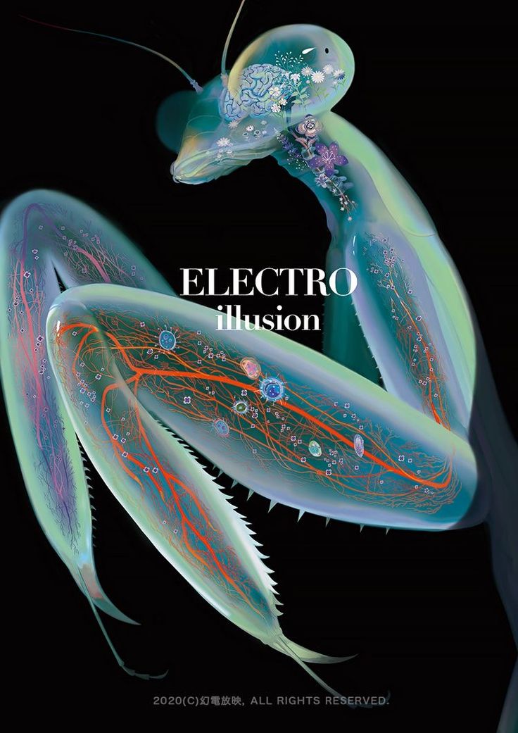 an advertisement for the electric illusion show, featuring two large blue and red squids