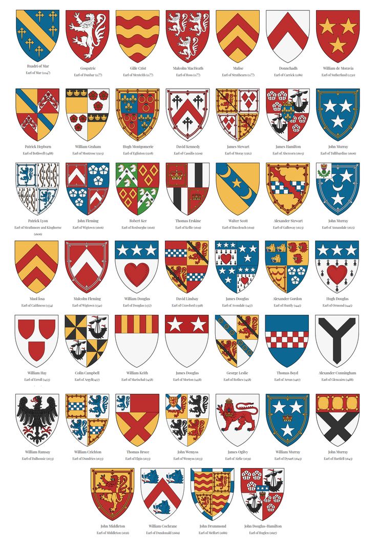 an image of different types of shields