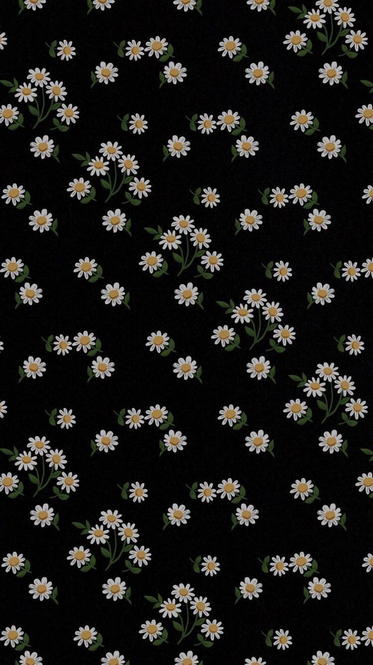 a black background with white daisies and green leaves