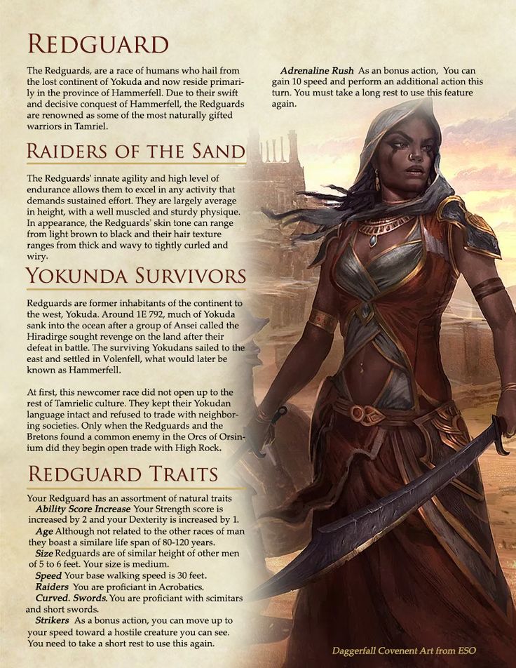 The Elder Scrolls Races in DnD Version 2  - Album on Imgur Skyrim Guide, Elder Scrolls Redguard, Skyrim Dnd, Elder Scrolls Races, Skyrim Races, Skyrim Lore, Homebrew Races, 5e Races, Homebrew Monsters