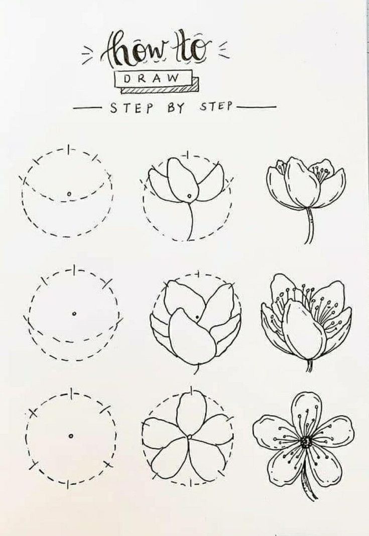 the instructions for how to draw flowers