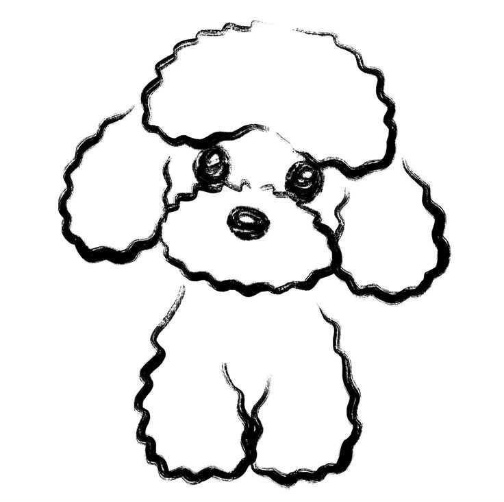 a black and white drawing of a poodle