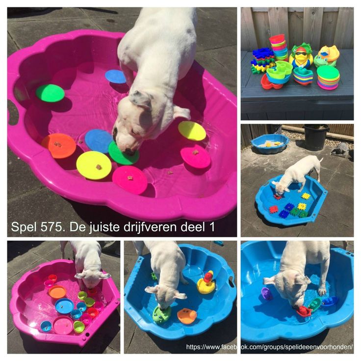 a collage of photos showing different stages of playing with toys and water in a pool