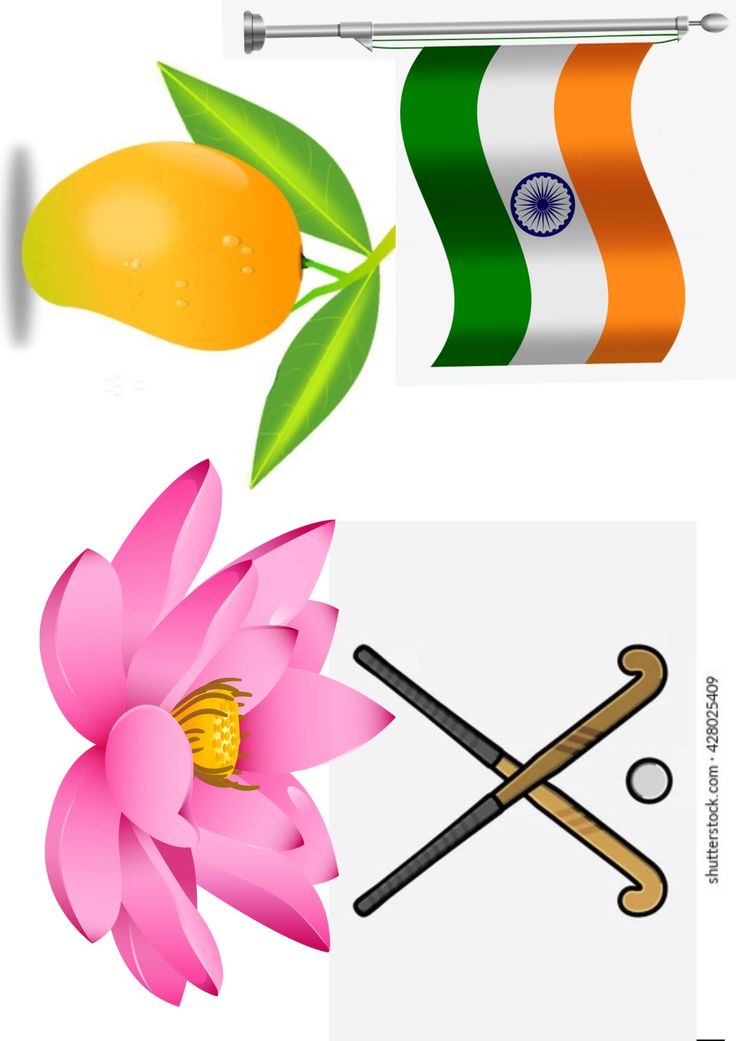 the flag of india and an orange flower with two crossed swords in front of it