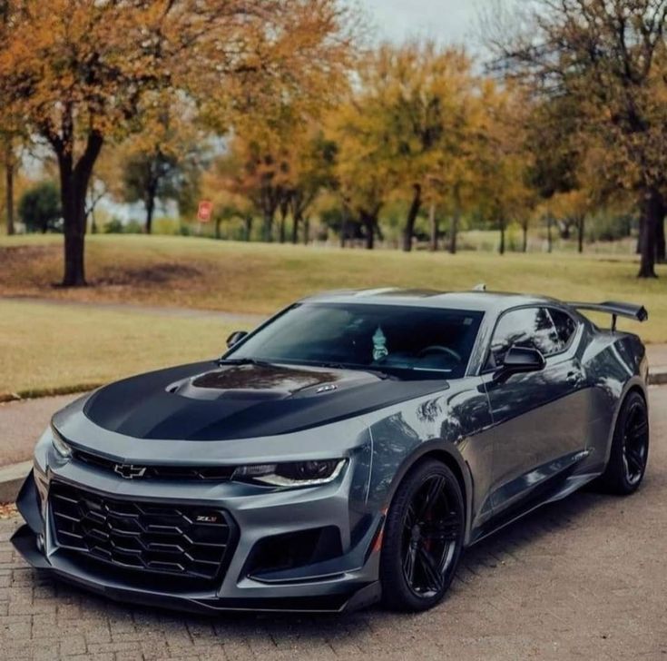 a gray chevrolet camaro is parked on the side of the road in front of some trees