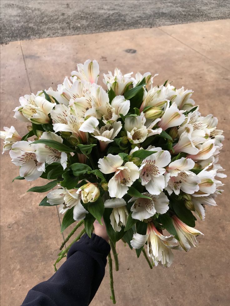 a person holding a bouquet of white flowers