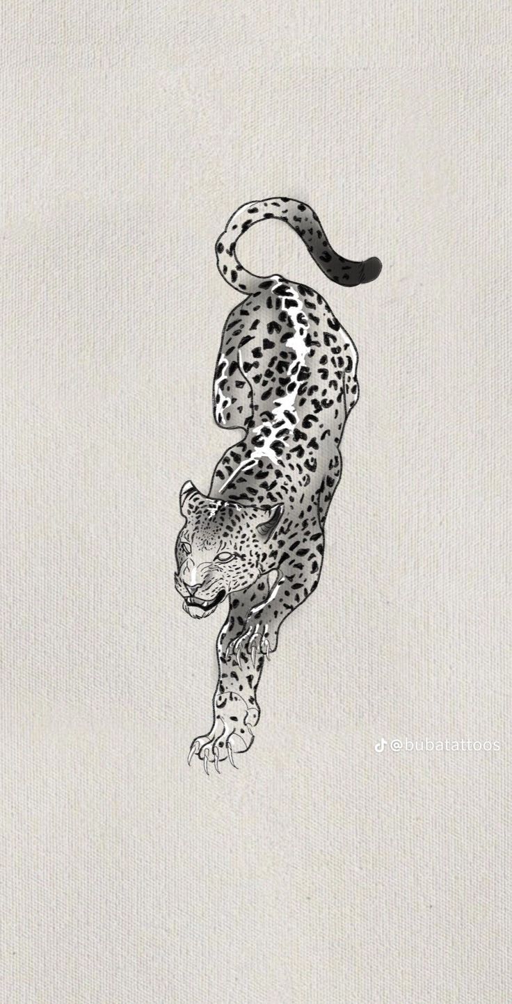 a black and white drawing of a cheetah running on its hind legs in the air