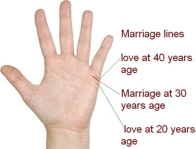 Love Lines – This line is also called as Marriage Line Marriage Lines Palmistry, Palm Reading Charts, Palmistry Reading, Palm Lines, Reading Charts, Line Love, Palm Reading, Married Life, Tarot Spreads