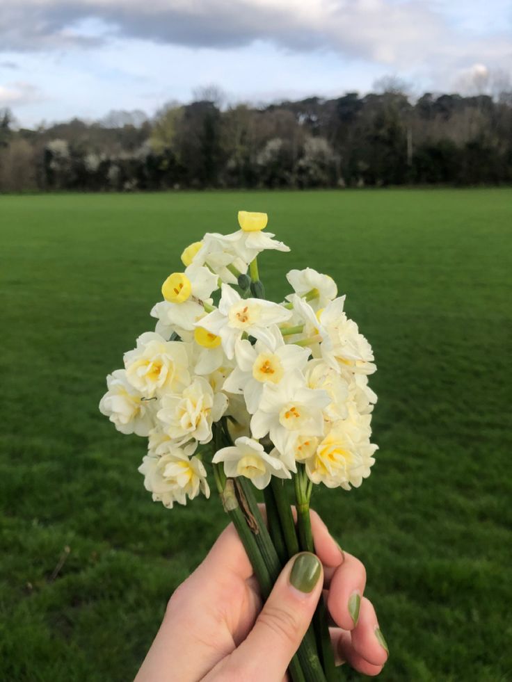 Hand holding bouquet of wildflowers Daisy Daffodil Bouquet, Daffodil Bridal Bouquet, Daffodil Nails, Daffodil Bouquet Wedding, Bouquet Nails, Buttercup Bouquet, Daffodils Bouquet, Bouquet Of Daffodils, Pretty Bouquets