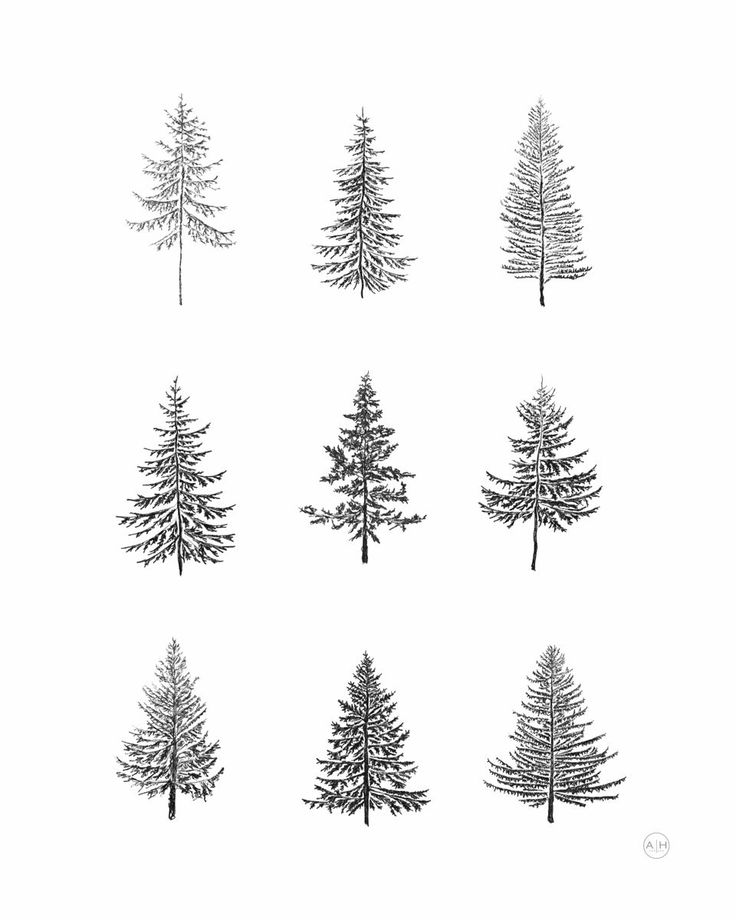 Minimalist Trees Evergreen Tattoo, Doodle Trees, Crismas Tree, Small Nature Tattoo, Evergreen Tree Tattoo, Pine Tattoo, Pine Tree Drawing, Trees Clipart, Pine Tree Tattoo