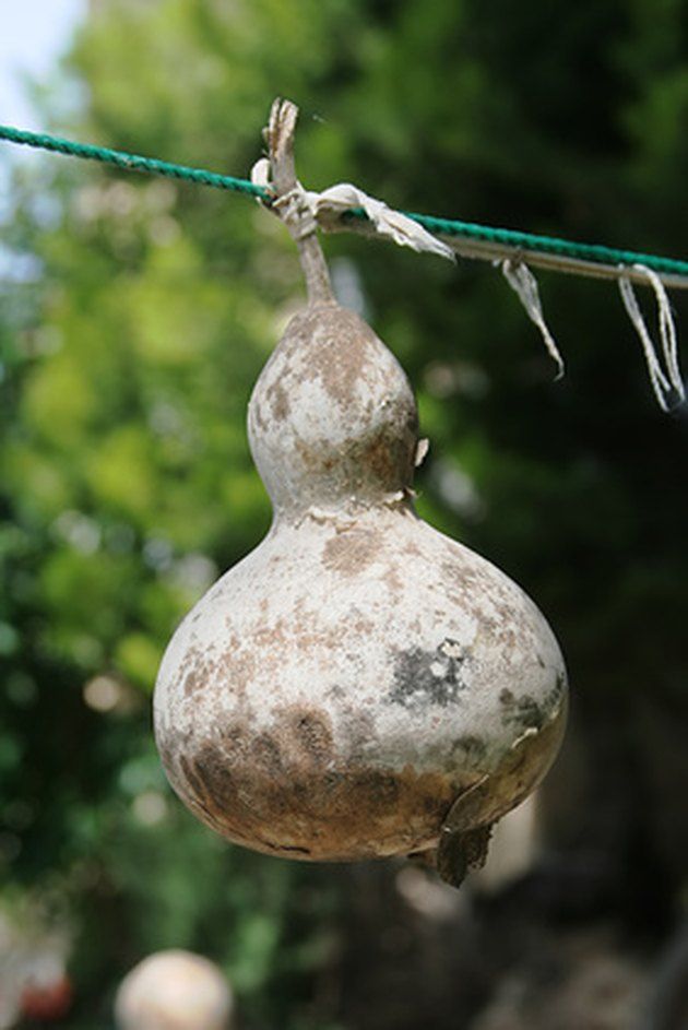 an object hanging from a line with trees in the background