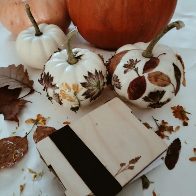 some pumpkins and leaves on a table