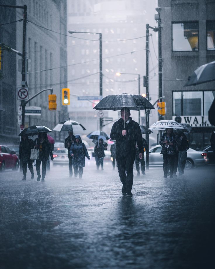 people walking in the rain with umbrellas