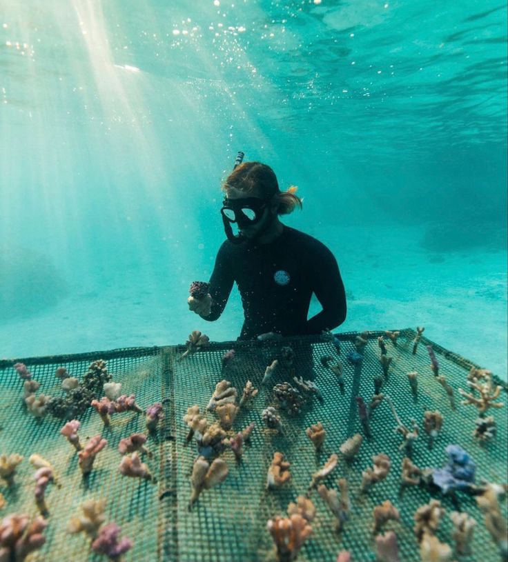 a person in a wetsuit is sitting on a fishing net and surrounded by small fish