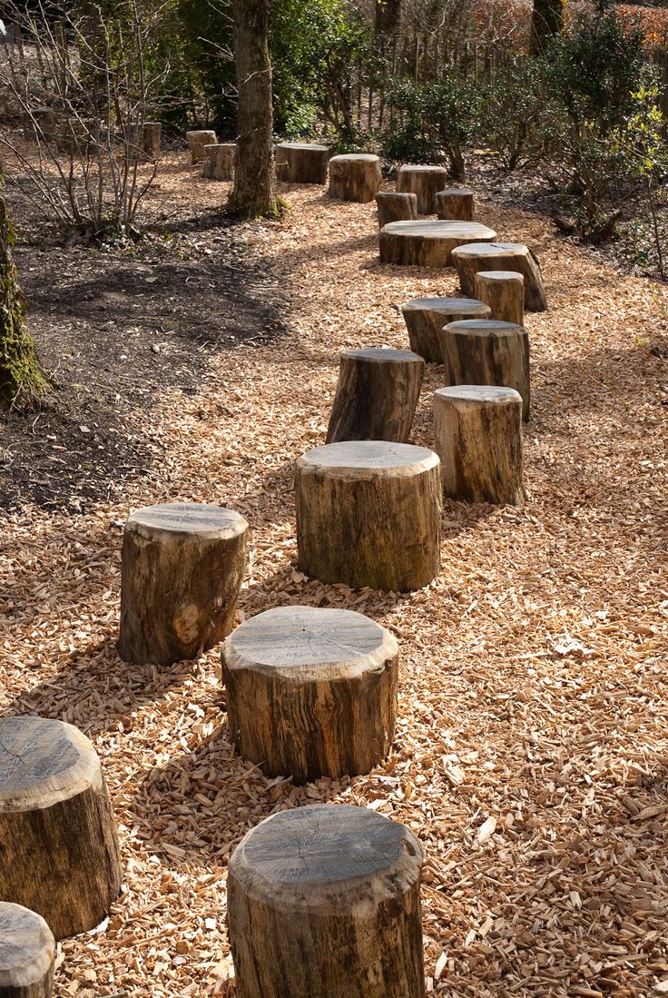 several wooden benches lined up in the woods