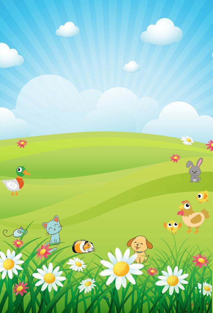 an image of animals in the field with daisies