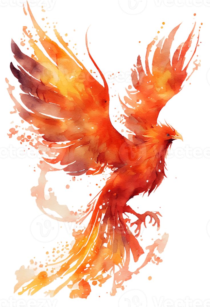 watercolor painting of a bird with orange and red feathers on it's wings