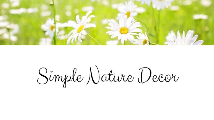 Simple Nature Decor | Coastal & Natural Home Decor