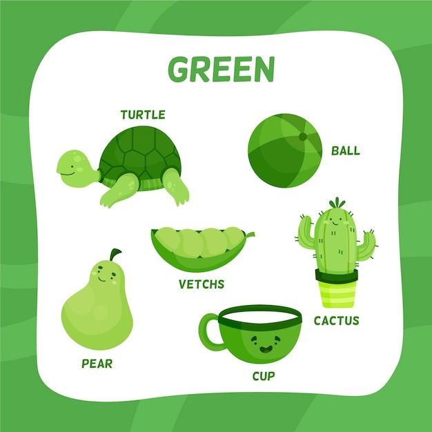 a green poster with different types of plants and animals