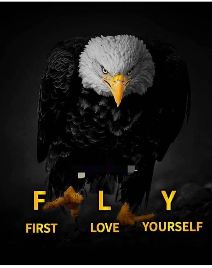 an eagle with the words fly first love yourself