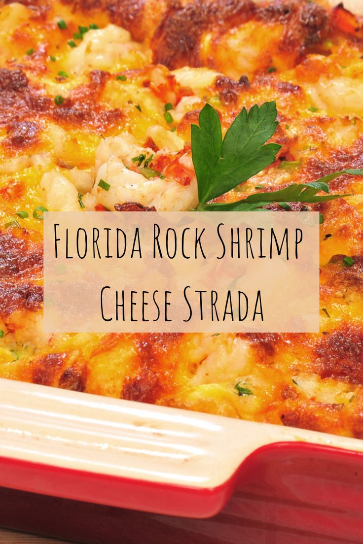 a close up of a casserole dish with text overlay that reads, florida rock shrimp cheese strada