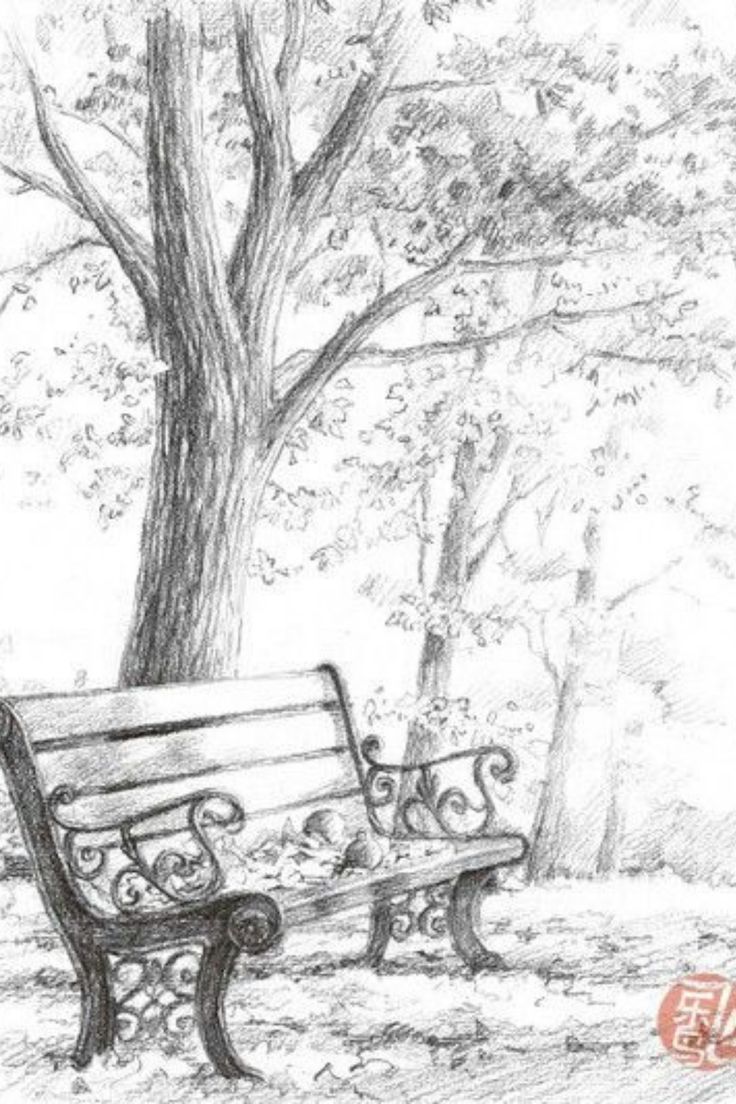 a pencil drawing of a park bench under a tree