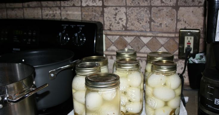 four jars filled with pickles sitting on top of a counter next to a stove