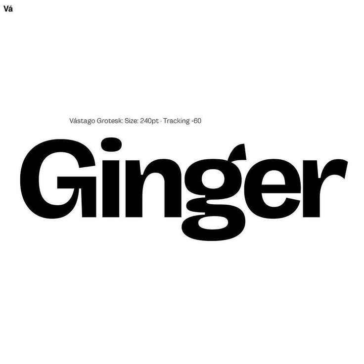 the word ginger written in black and white on a white background with text below it