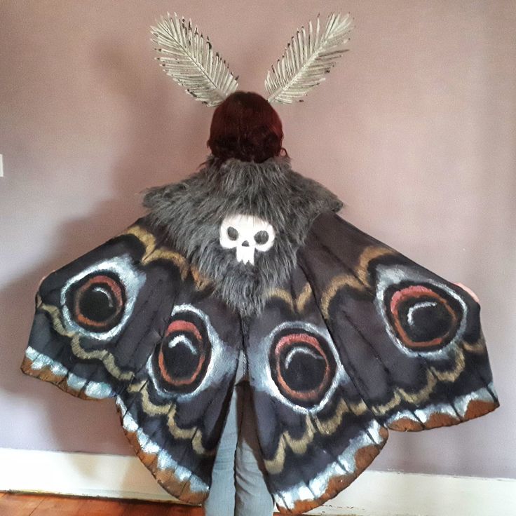 a large butterfly with feathers on it's wings and a skull in the middle