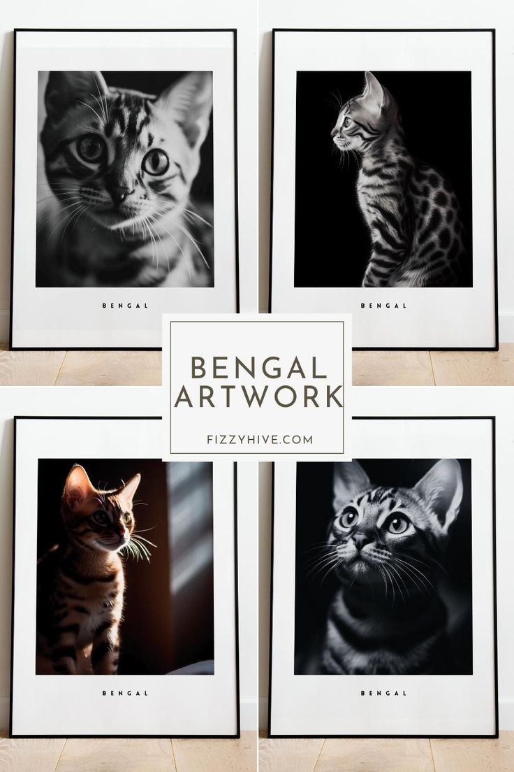 four black and white photographs of kittens with the words bengal art work above them