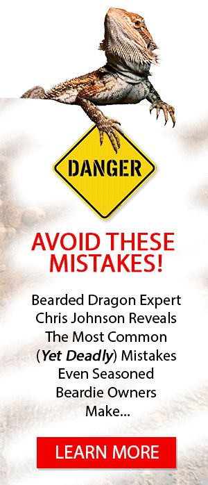 a sign warning people to avoid the dangers of bearded dragon