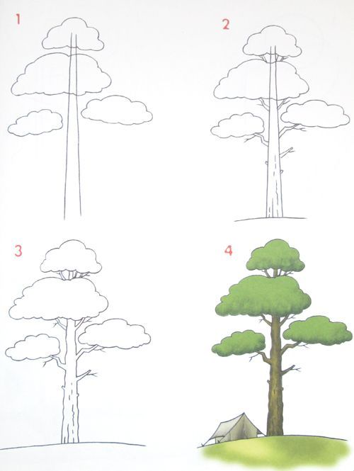 four different types of trees and how to draw them with markers on the back side