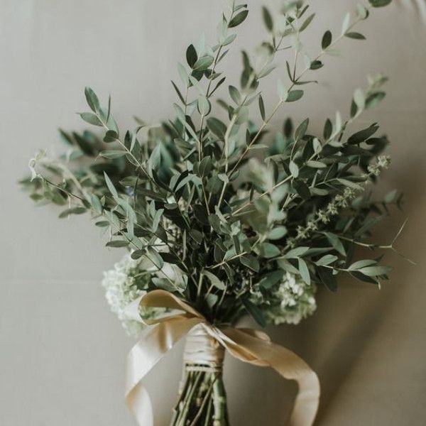 a bouquet of greenery tied to a white wall with a brown ribbon around it