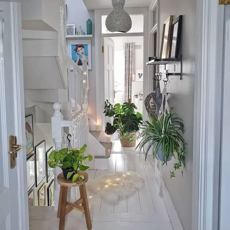 the hallway is decorated with plants and lights