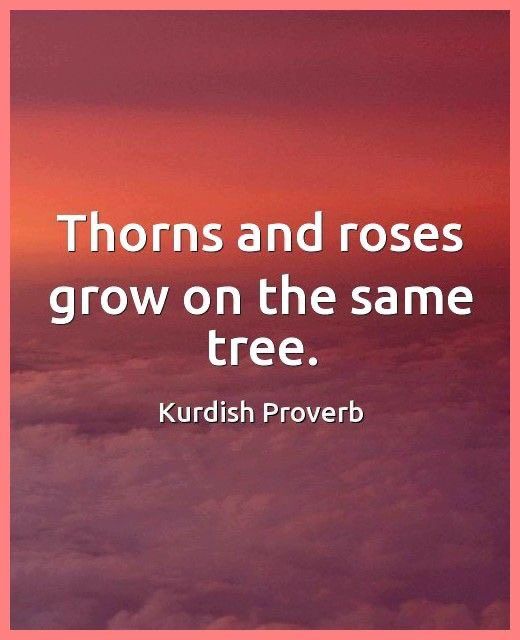 the words thorns and roses grow on the same tree with clouds in the background