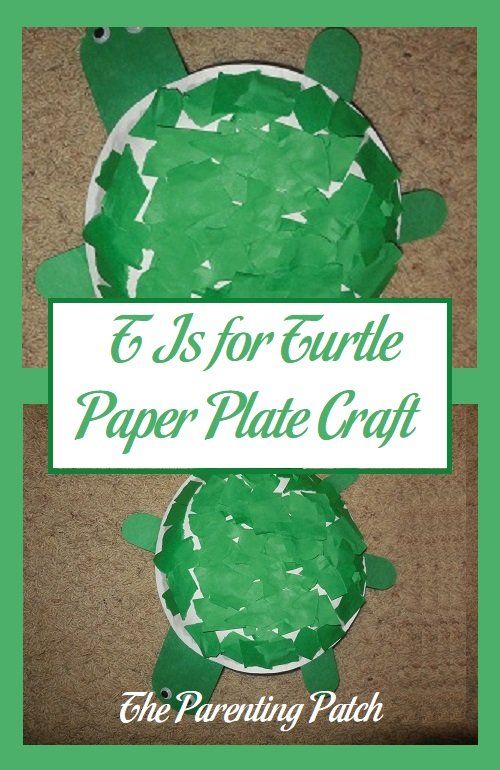 the paper plate craft is made to look like a turtle