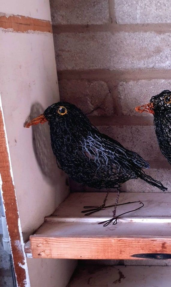 two black birds sitting on top of a wooden shelf