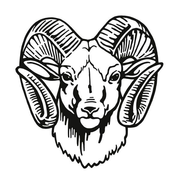 a ram head with large horns