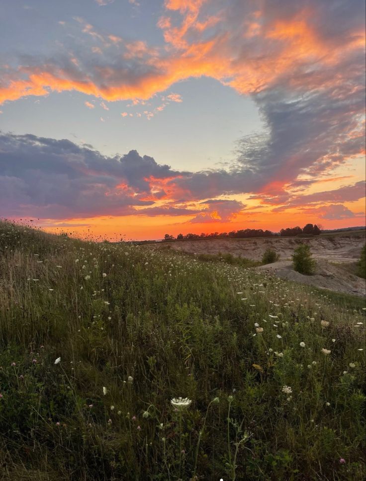 the sun is setting over an open field with wildflowers and grasses in bloom