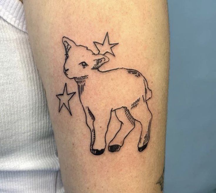 a small black and white tattoo of a cat with stars on it's arm