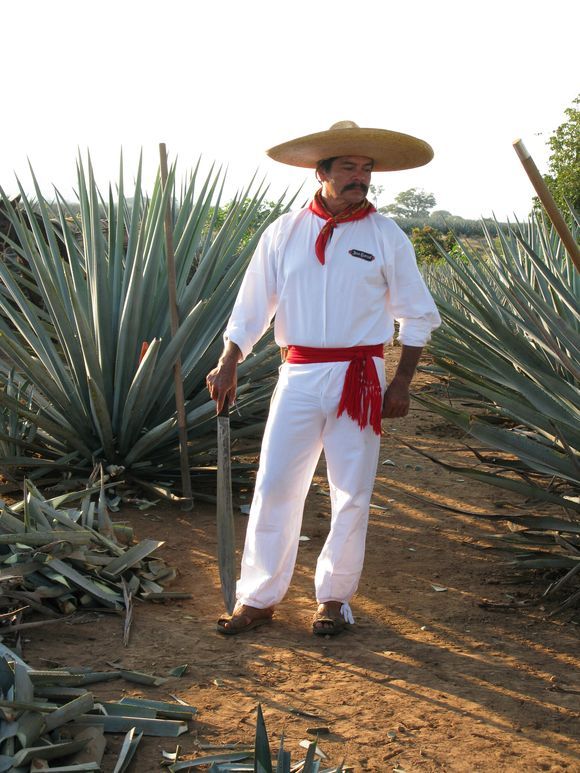 a man wearing a sombrero and holding a cane standing in front of some plants