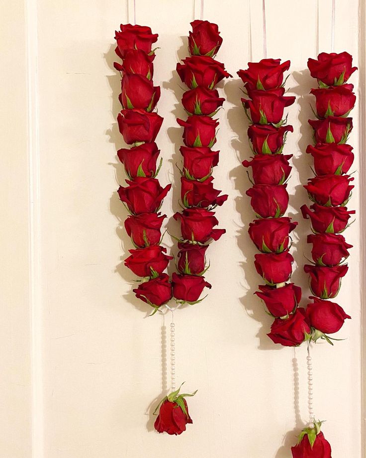 red roses hanging from strings on a white wall