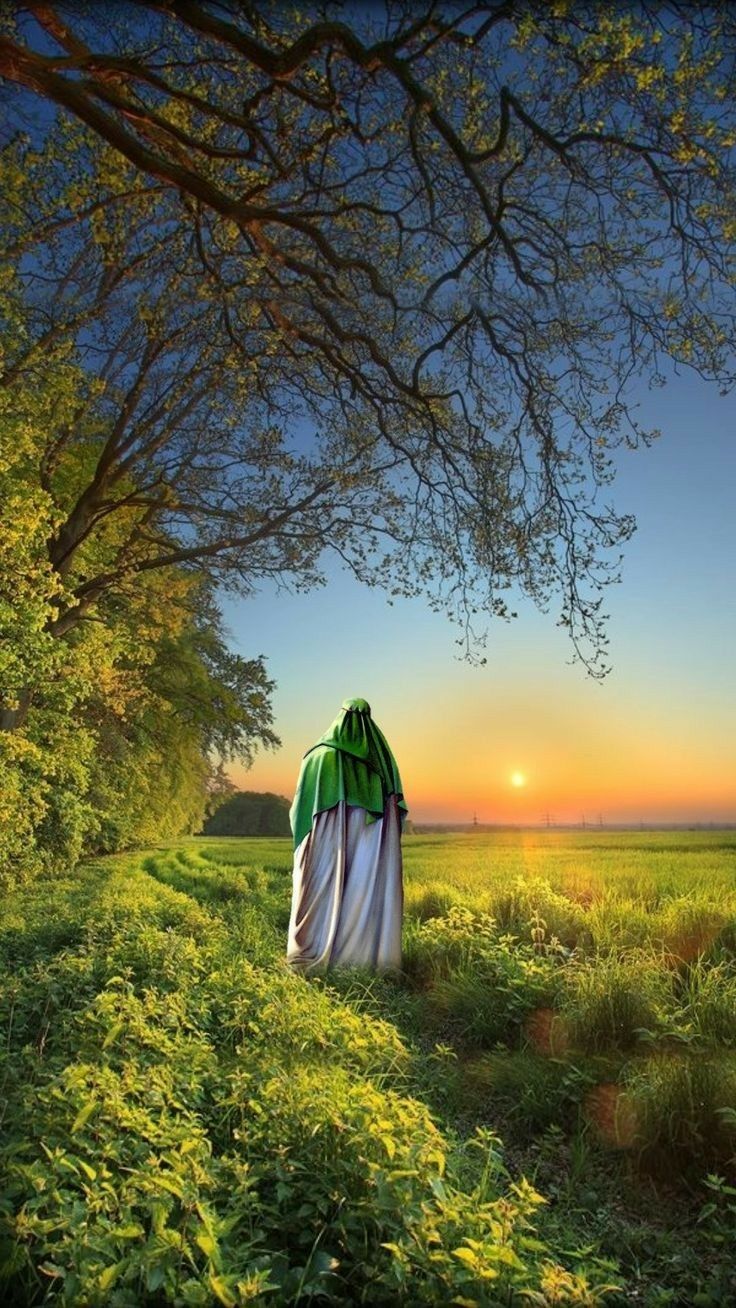 a person standing in the middle of a lush green field under a tree at sunset